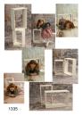 Foto - Cube's